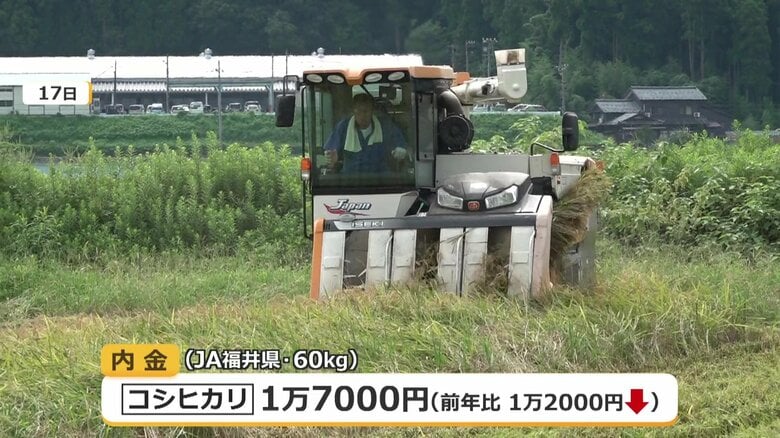 JAが集荷の際に農家に支払う概算金が大幅下落