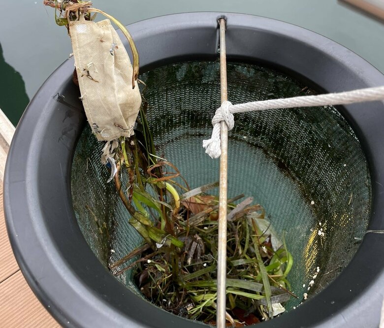 こんなごみが集まることも