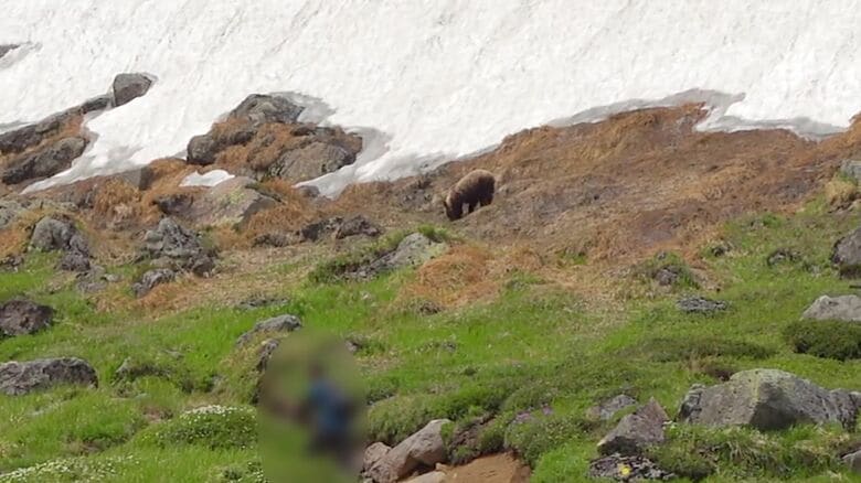 多くの登山者が待機する中1人の男性がクマに接近（撮影：視聴者）
