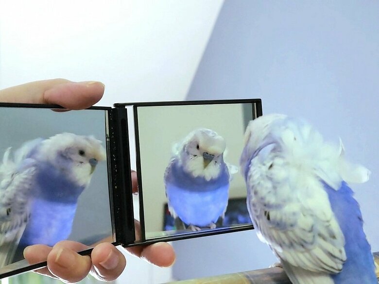 鏡で自分を見つめている