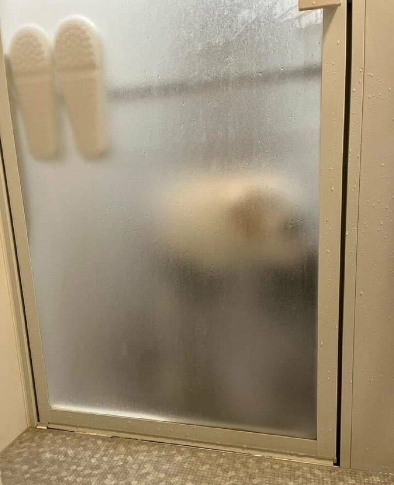 飼い主さんのお風呂を出待ちしている