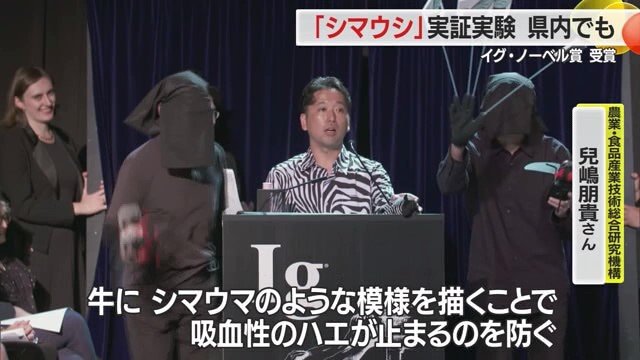 アメリカでの授賞式でスピーチする兒嶋さん。ジャケットを脱ぐとシマウシを連想させるシマシマのシャツ