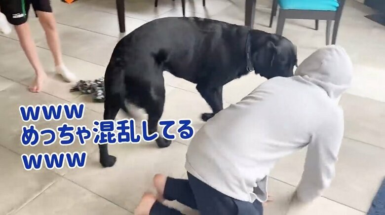 周りをウロウロ