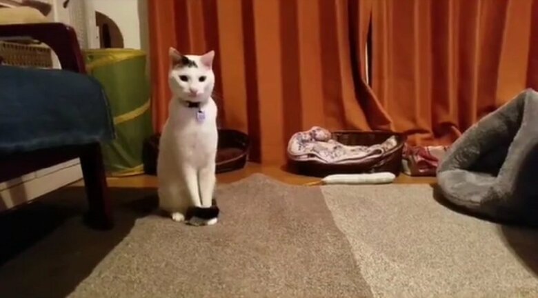 座ってる豆大福くん