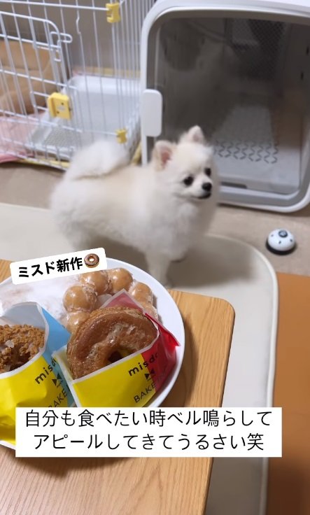 ドーナツを見つけたペコちゃん