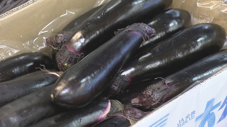 トキハインダストリー春日浦フードスタジアム 