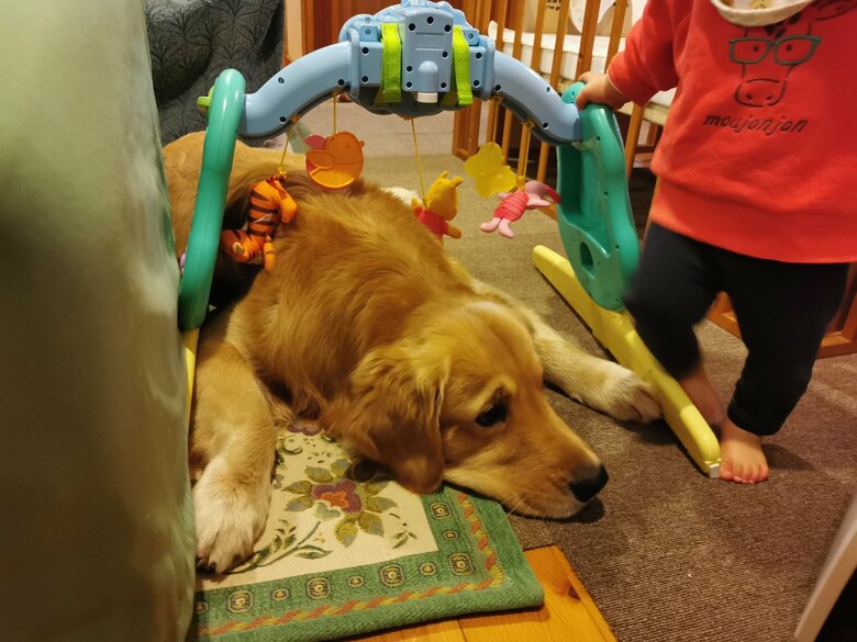 提供：ふぉるてさん