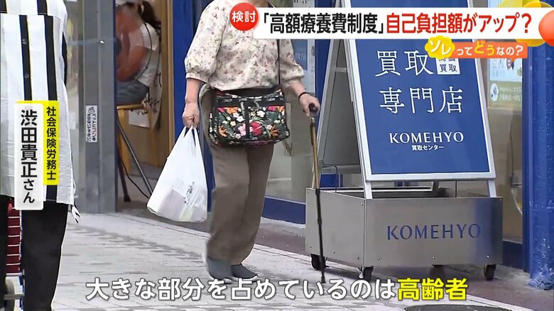 専門家は制度の対象者は高齢者が多く占めていると指摘する