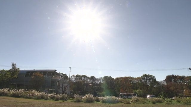 暖かい日が続いたことで生き残った？