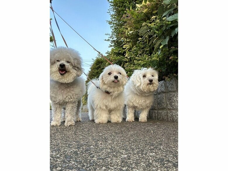 （画像：飼い主さん提供）