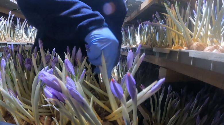 品質は世界トップクラス