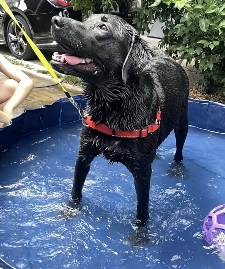 2022年のプールも楽しんだ