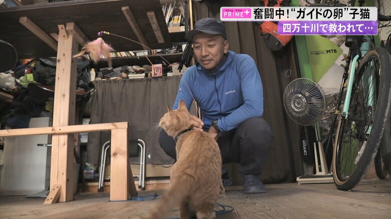 チャビと遊ぶオーナーの高倉剛さん