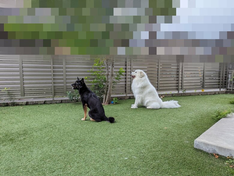 屋外にいる“ふたり”