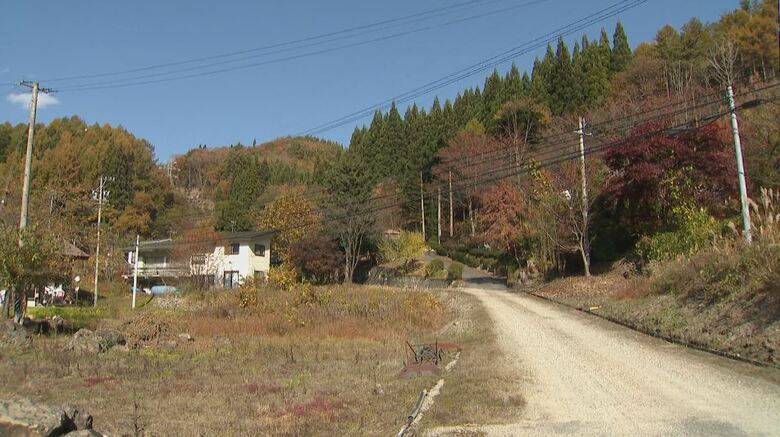 長野県大町市平地区の山林