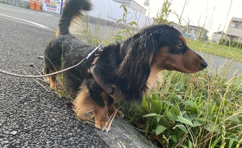 同じところを3周したという