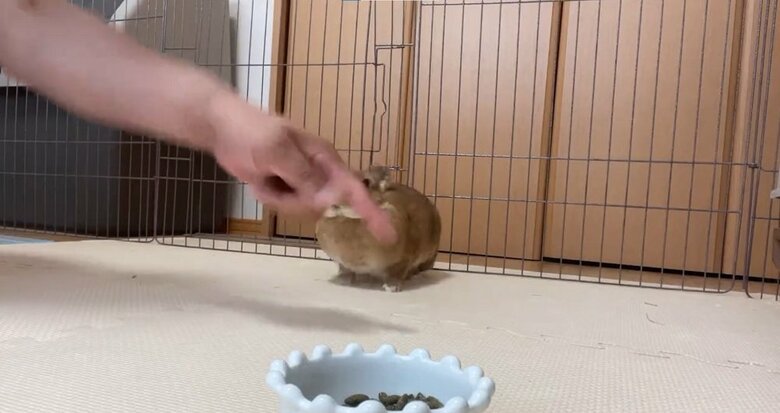 「よし」と許可を得ると…