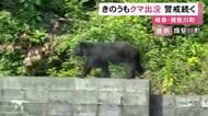 ブロック塀の上を悠然と歩く…岐阜県揖斐川町で11日もクマの出没相次ぐ 小学校近くにも現れ体長1mほどの成獣か
