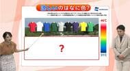 【実験画像】涼しい服はなに色?赤と青はどちらが熱を持ちにくい? 長く厳しい夏を戦い抜くために…気象予報士が解説