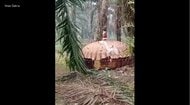 インドネシアで“UFO騒動”　農園で円盤状の金属片発見　中国のロケットの残骸か
