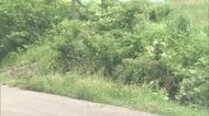 山菜取り中に80代男性がクマに襲われけが　ドクターヘリで搬送も意識があり会話可能　秋田・由利本荘市
