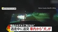 「ぶつかった！ぶつかったぞ！」追跡中の逃走車が茂みに激突…はずみで車内から“犬”が投げ出される瞬間　男を薬物所持疑いで逮捕　アメリカ