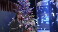 水族館にクリスマスツリー　2000個のLED　クラゲと競演【新潟市中央区】