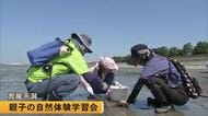 親子で荒尾干潟の生き物について学ぶ自然体験学習会【熊本】