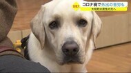 コロナ禍で外出の苦労も 盲導犬が大和町の男性の元へ〈宮城〉