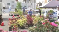初夏の風物詩「植木まつり」にぎわう 秋田