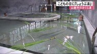 こどもの日 山鹿市『さくら湯』でしょうぶ湯【熊本】