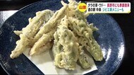 タラの芽・ウド… 長野市にも『山菜』の季節到来 道の駅 中条に「ジビエ新メニュー」も