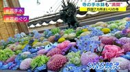 「花手水」が人気 SNS映え必至!色とりどりの花が鮮やかに…四国霊場七カ所まいり【香川】