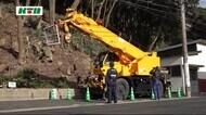 佐世保市鹿子前町で木の伐採中に男性が転落し死亡