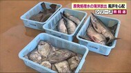 【選挙の争点】原発処理水による風評被害拡大の不安 納得できる情報発信と補償《2021衆院選・福島》