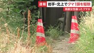 住宅地近くにいたクマ1頭を駆除　死亡女性を襲ったクマと同一か　DNA鑑定へ　岩手県