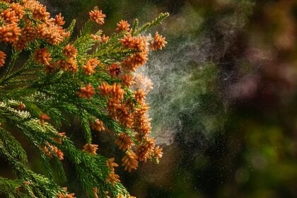 ■【現代男性が陥る「花粉症負け」とは？】男性６割が自覚「花粉薬で鼻水・かゆみは抑えても、“外見ダメージ“は残る（57.5%）」　～　花粉症による 外見悪化” で「自信喪失（＝花粉症負け）」する男性も