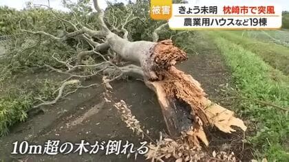 枕崎で未明の突風、農業ハウスなど19棟に被害　最大瞬間風速20.7m/sを観測　けが人なし　