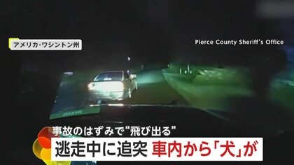 「ぶつかった！ぶつかったぞ！」追跡中の逃走車が茂みに激突…はずみで車内から“犬”が投げ出される瞬間　男を薬物所持疑いで逮捕　アメリカ