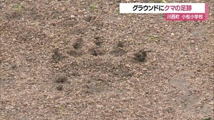＜クマ出没＞足跡くっきり！　小学校のグラウンドにクマの足跡・約18センチ　児童見つける　山形・川西町