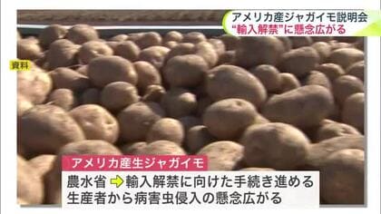 「病害虫が侵入したら…」生産者から不安の声…アメリカ産の生ジャガイモ輸入解禁をめぐり農水省が主要産地の北海道で説明会_検疫措置必要な21種特定など協議の進捗状況説明〈札幌〉