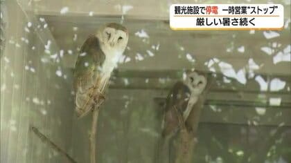 厳しい暑さの中”花と鳥の楽園”で一時停電　空調も停止…飼育動物への影響なし（松江市）