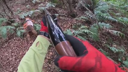 女性が耳食いちぎられる事故も…害獣駆除等で放される「猟犬」　猟師「訓練や配慮は怠ってはならない」