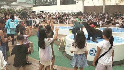 夏休みラスト　新定番は「安・近・涼」　アシカと“ふれあい”イベントは延長決定　夏でも雪遊び可能な施設も