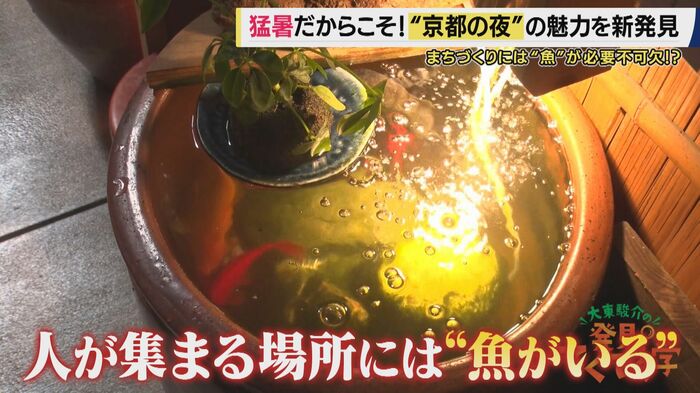 「成功してるところには魚がいる」