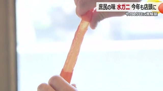 通称”ズボガニ”