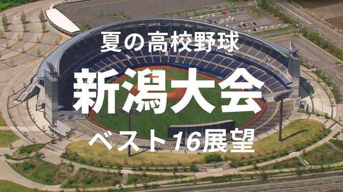 NST新潟総合テレビ