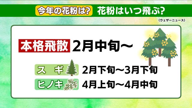 2025年シーズンの本格飛散時期(出典:ウェザーニュース)