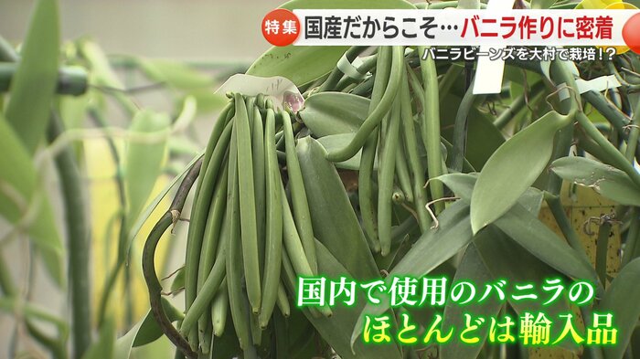 参入障壁が高い