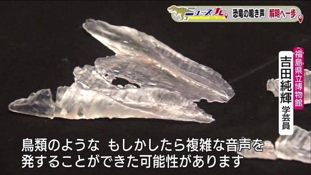 ピナコサウルスは活発に喉を動かせる構造